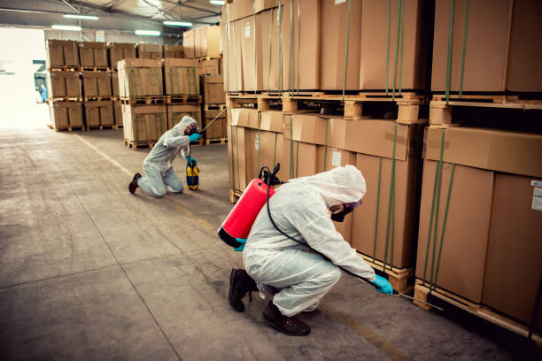 Best Cockroach Control Services  in Bay Point, CA