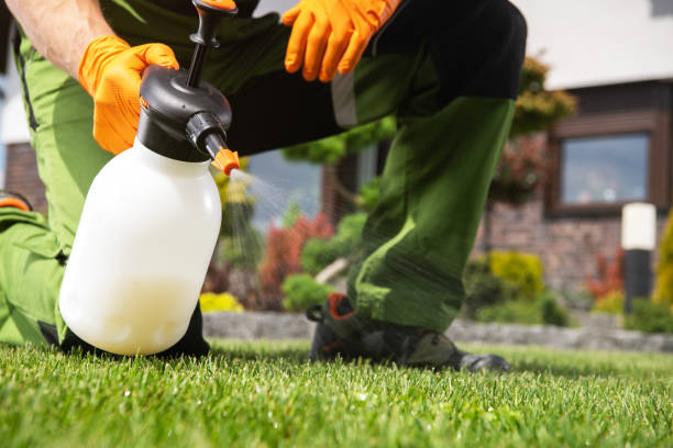 Best Mosquito Control Services  in Bay Point, CA